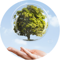 meioambiente